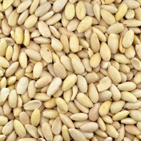 Biologische Blanke Amandelen (raw)