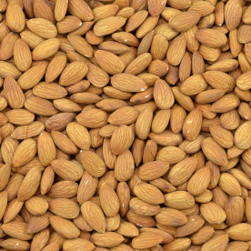 Biologische Bruine Amandelen (raw)