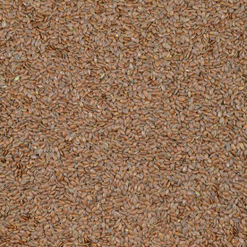 Biologische Lijnzaad heel