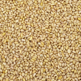 Biologische Pijnboompitten