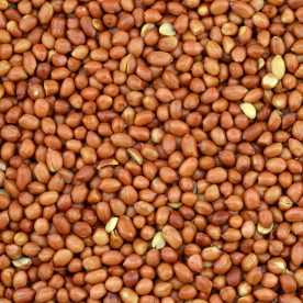 Biologische Pinda's met Vlies (raw)