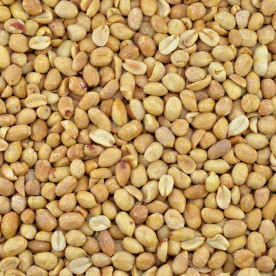 Biologische Pinda's zonder Vlies (raw)