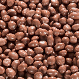 Biologische Chocolade Pinda's melk