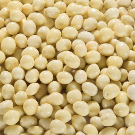 Biologische Chocolade Pinda's yoghurt