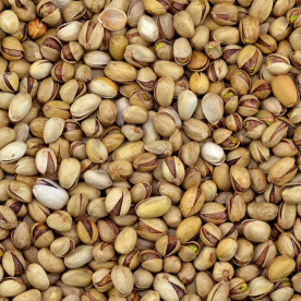 Biologische Pistache in dop geroosterd met zout