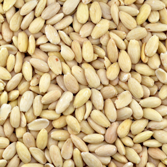Biologische Blanke Amandelen (geroosterd)