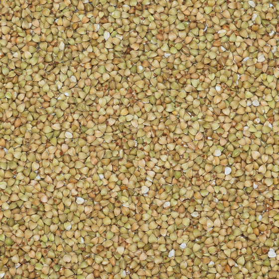 Biologische Boekweitzaad
