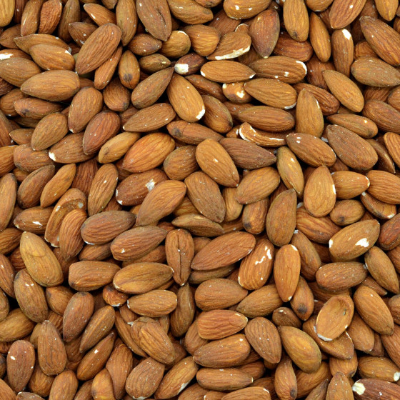 Biologische Bruine Amandelen (geroosterd)