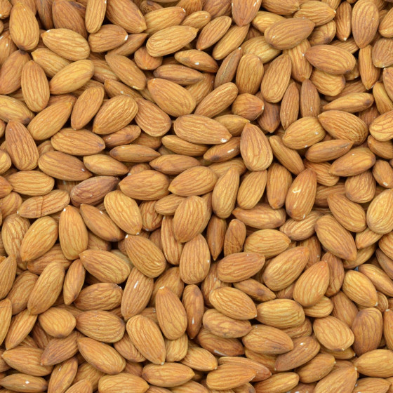 Biologische Bruine Amandelen (raw)