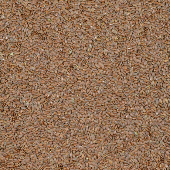 Biologische Lijnzaad heel