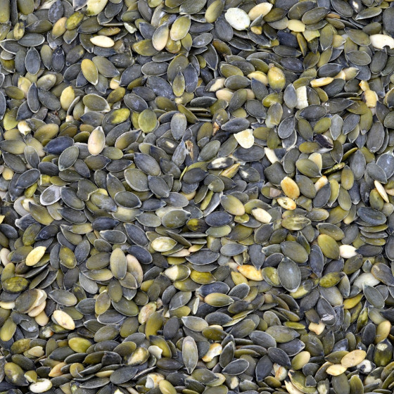 Biologische Pompoenpitten