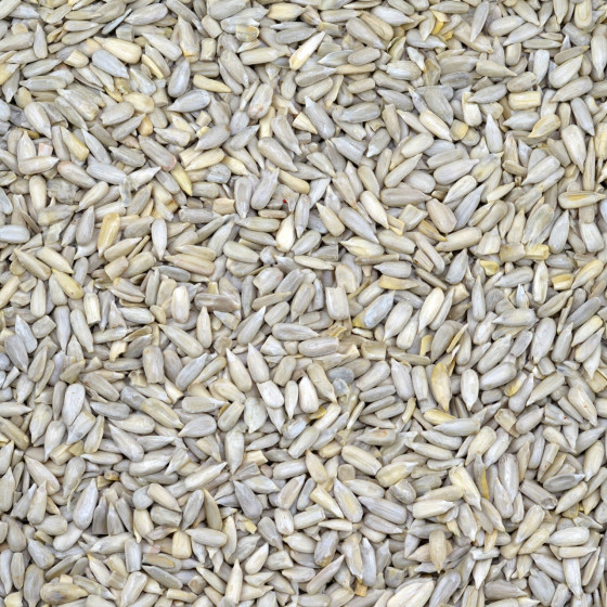 Biologische Zonnebloempitten