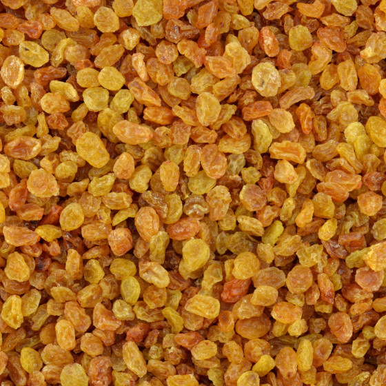 Witte Jumbo Rozijnen