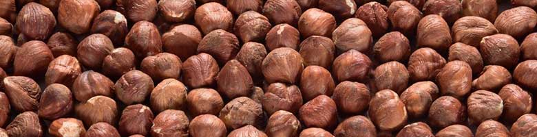 Waar komen hazelnoten vandaan? Waar komen hazelnoten vandaan?
