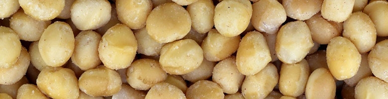 Macadamia noten Macadamia noten