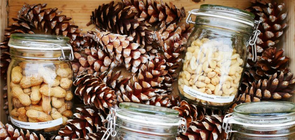 Noten bewaar je het beste afgesloten Glazen potten met verschillende soorten noten, omringd door dennenappels, ideaal voor het bewaren van noten voor langere houdbaarheid