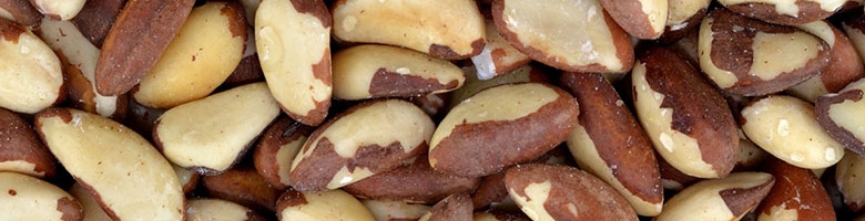 Waar komen paranoten vandaan? Waar komen paranoten vandaan?