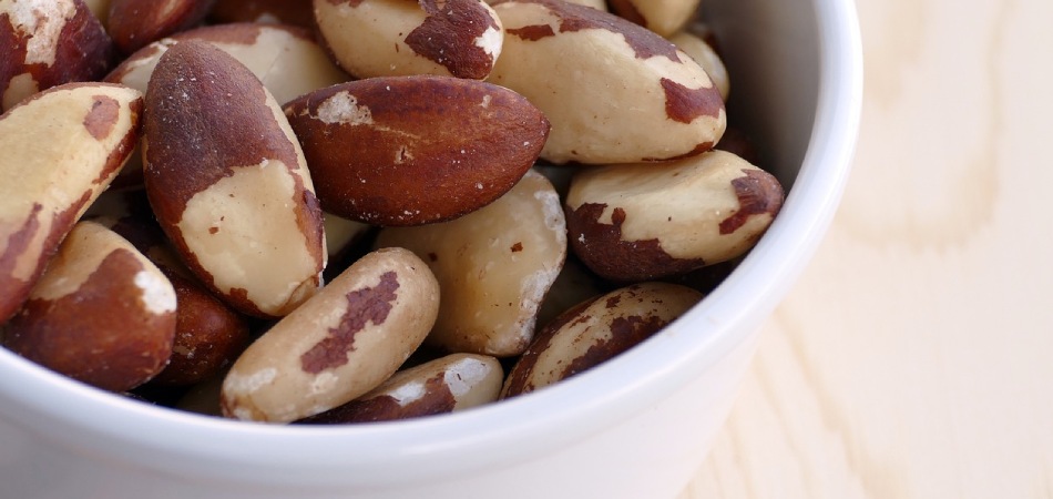 Verse paranoten: ideaal in een gezonde levensstijl Een close up van paranoten in een witte kom