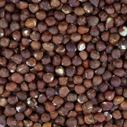 Hazelnoten gezond Hazelnoten gezont