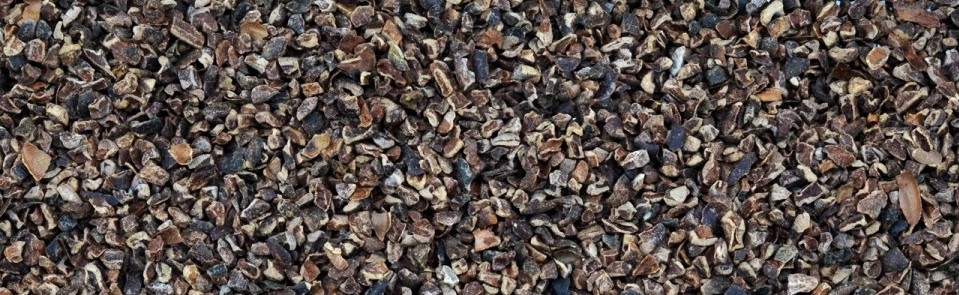 Het verschil tussen cacao en chocolade is iets wat veel mensen niet weten. Er zijn vele verschillen tussen cacao en chocolade die veel mensen niet weten