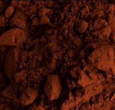 cacao is de basis voor een lekker stuk chocolade cacao is de basis van elk chocolade recept