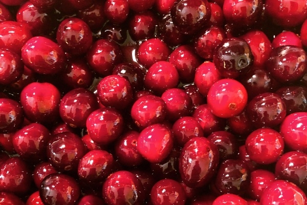 Gedroogde cranberries kopen doe je bij Bosscher Delicatessen Gedroogde cranberries kopen doe je bij Bosscher Delicatessen