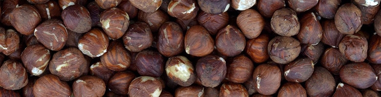 Hazelnoten zijn gezonde noten voor als tussendoortje