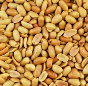 Pinda's online te bestellen Pinda's online kopen