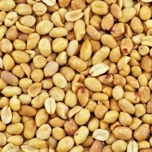 Pinda's kopen Pinda's online te bestellen bij Bosscher Delicatessen.nl